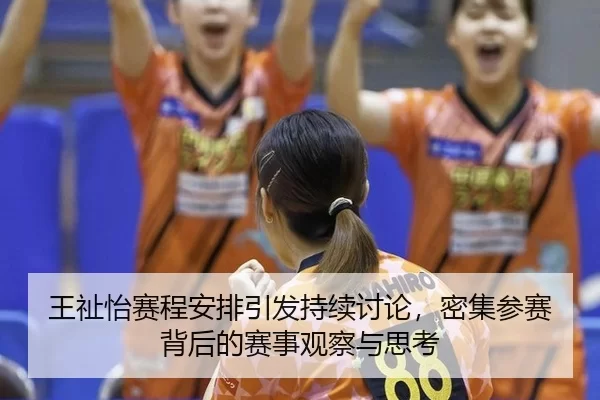 wang-zhi-yi-sai-cheng-an-pai-yin-fa-chi-xu-tao-lun-mi-ji-can-sai-bei-hou-de-sai-shi-guan-cha-yu-si-kao-2-645.jpg